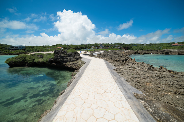 配当生活への道